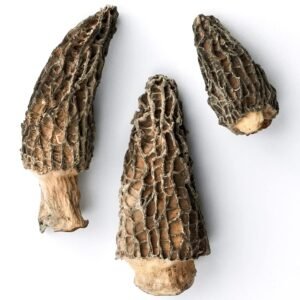 Dried Morel Mushrooms